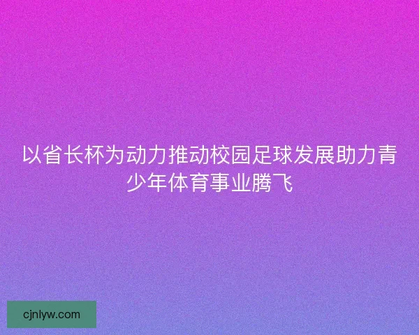 以省长杯为动力推动校园足球发展助力青少年体育事业腾飞