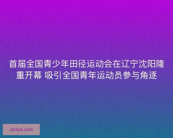 首届全国青少年田径运动会在辽宁沈阳隆重开幕 吸引全国青年运动员参与角逐